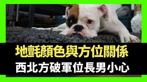 門口向西